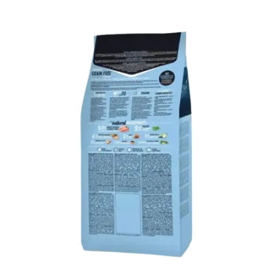 OWNAT GF PRIME KITTEN - chaton